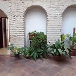 Entre patios y flores